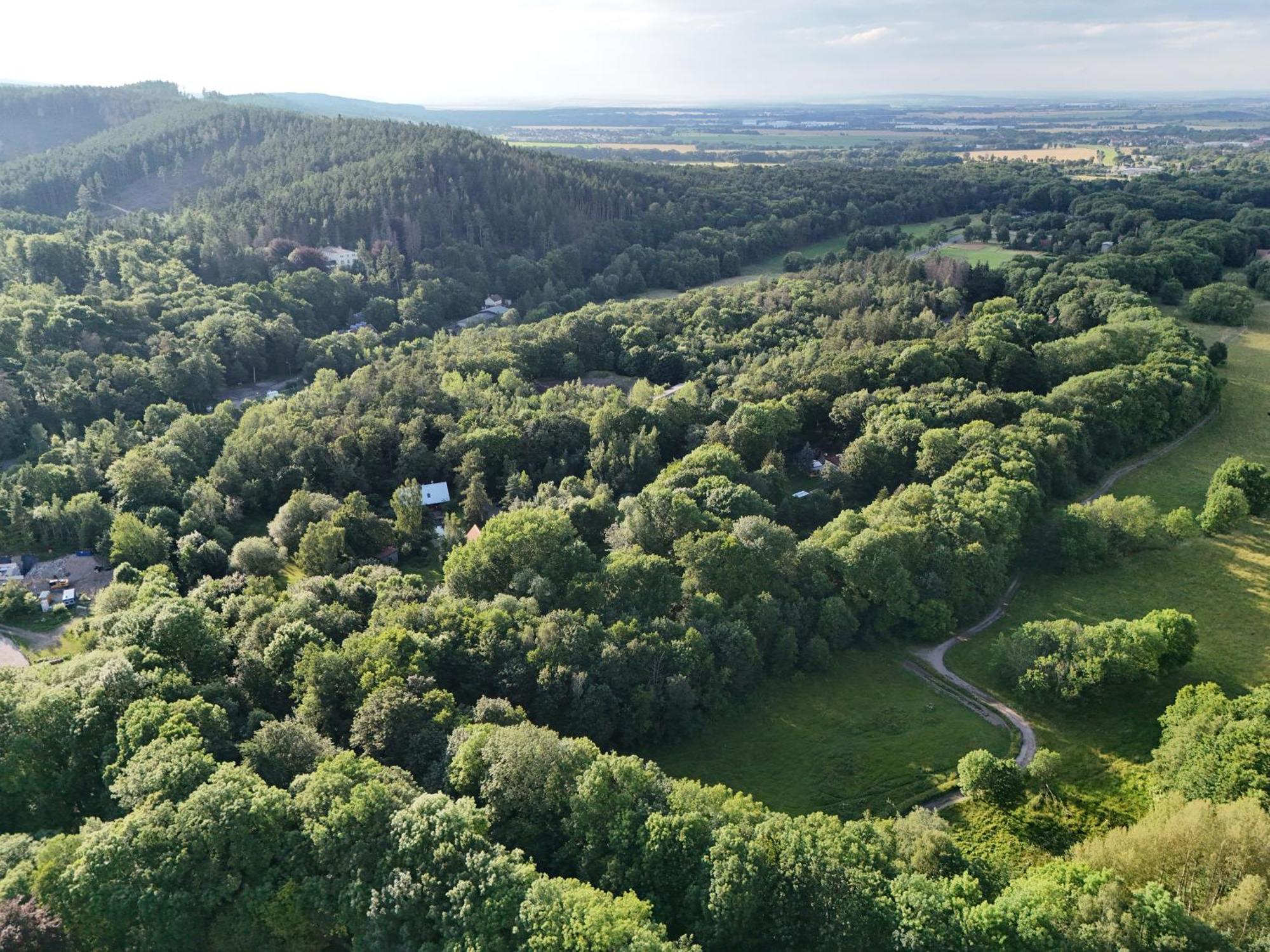 Ferienwohnung Im Logierhaus Villa Ihler Luisenthal Luaran gambar